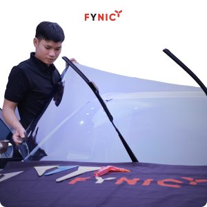 San pham phim cach nhiet kinh lai 2